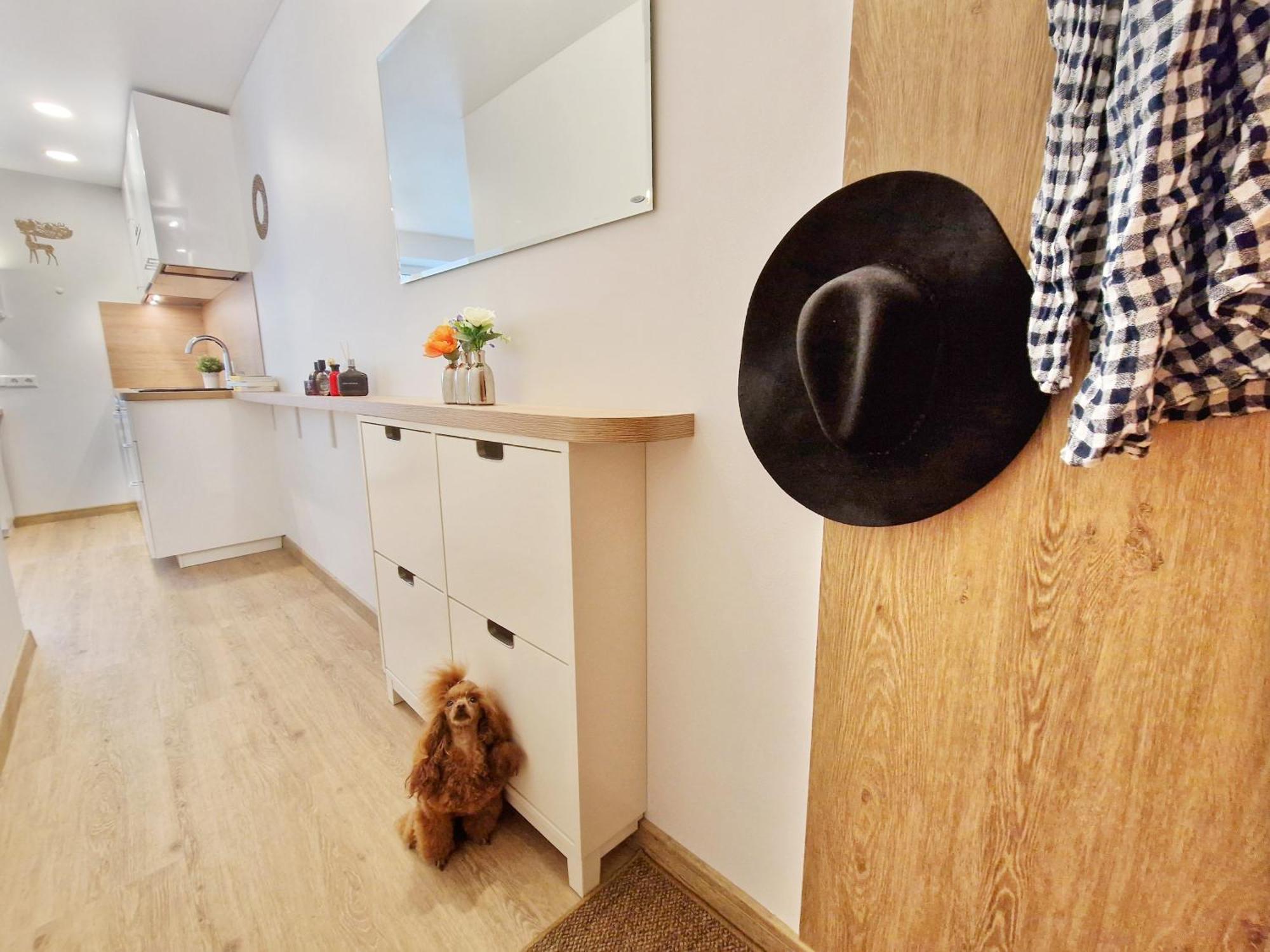 Home Apart-Hotel Vivulskis VNO Rom bilde